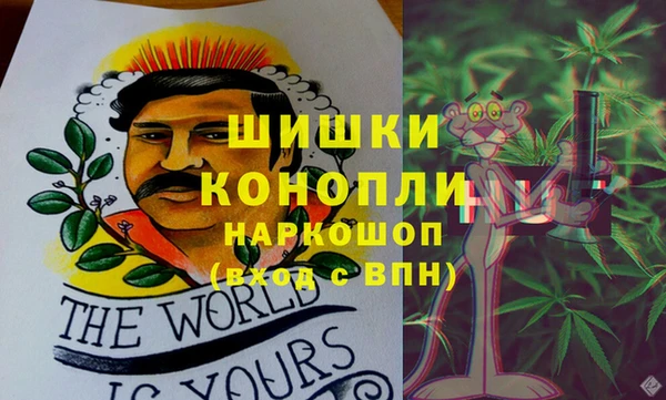 PSILOCYBIN Белокуриха
