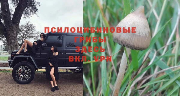 хмурый Балабаново