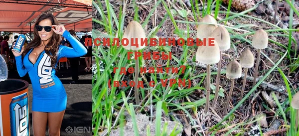 амф Протвино