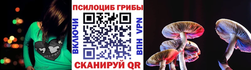 Купить  Тюкалинск  Псилоцибиновые грибы MAGIC MUSHROOMS 